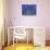 44CO-Pierre Henri Matisse-Stretched Canvas displayed on a wall