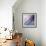 45 Degree Sunrise IV-Alan Hausenflock-Framed Photographic Print displayed on a wall