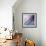 45 Degree Sunrise IV-Alan Hausenflock-Framed Premium Photographic Print displayed on a wall