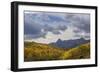 452-Dan Ballard-Framed Photographic Print