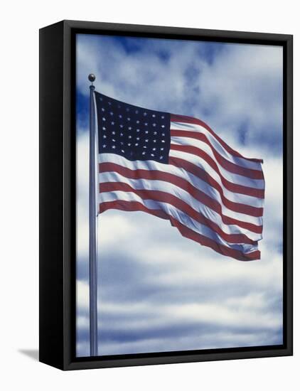 48 Star American Flag-Dmitri Kessel-Framed Stretched Canvas