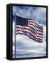 48 Star American Flag-Dmitri Kessel-Framed Stretched Canvas