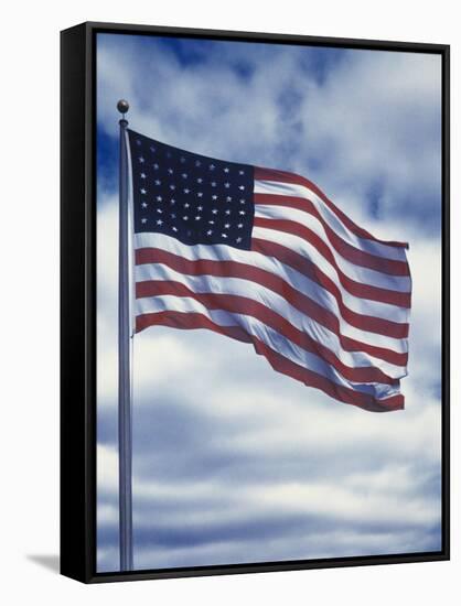 48 Star American Flag-Dmitri Kessel-Framed Stretched Canvas