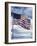 48 Star American Flag-Dmitri Kessel-Framed Photographic Print