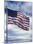 48 Star American Flag-Dmitri Kessel-Mounted Photographic Print