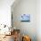 48CO-Pierre Henri Matisse-Giclee Print displayed on a wall