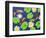 4CO-Pierre Henri Matisse-Framed Premium Giclee Print
