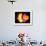 4fz3 Electron Orbital-Laguna Design-Framed Photographic Print displayed on a wall