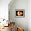 4fz3 Electron Orbital-Laguna Design-Framed Photographic Print displayed on a wall