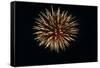 4th of July Fireworks-Magrath Photography-Framed Stretched Canvas