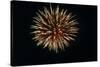 4th of July Fireworks-Magrath Photography-Stretched Canvas