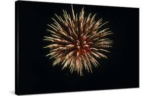 4th of July Fireworks-Magrath Photography-Stretched Canvas