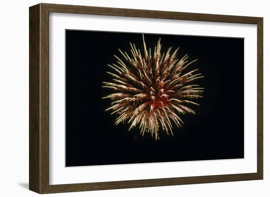 4th of July Fireworks-Magrath Photography-Framed Photographic Print