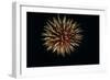 4th of July Fireworks-Magrath Photography-Framed Photographic Print