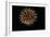 4th of July Fireworks-Magrath Photography-Framed Photographic Print