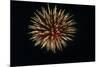 4th of July Fireworks-Magrath Photography-Mounted Photographic Print