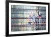 4th of July-Valda Bailey-Framed Photographic Print