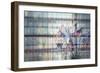 4th of July-Valda Bailey-Framed Photographic Print