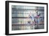 4th of July-Valda Bailey-Framed Photographic Print