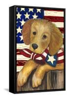 4th of July-Laurie Korsgaden-Framed Stretched Canvas