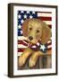 4th of July-Laurie Korsgaden-Framed Giclee Print