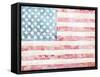 4th of July-Jenny Westenhofer-Framed Stretched Canvas