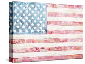 4th of July-Jenny Westenhofer-Stretched Canvas