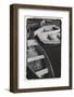 5 at Rest-Laura Denardo-Framed Photographic Print