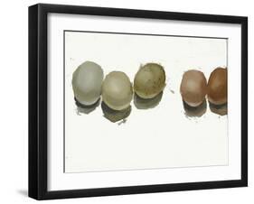 5 Eggs-Jenny Westenhofer-Framed Art Print