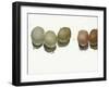 5 Eggs-Jenny Westenhofer-Framed Art Print