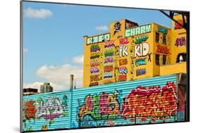 5 Pointz Long Island City New York-null-Mounted Photo