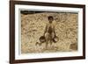 5 Year Old Migrant Shrimp-Picker Manuel in Front of a Pile of Oyster Shells-Lewis Wickes Hine-Framed Photographic Print