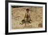 5 Year Old Migrant Shrimp-Picker Manuel in Front of a Pile of Oyster Shells-Lewis Wickes Hine-Framed Photographic Print