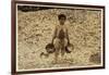 5 Year Old Migrant Shrimp-Picker Manuel in Front of a Pile of Oyster Shells-Lewis Wickes Hine-Framed Photographic Print