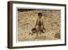 5 Year Old Migrant Shrimp-Picker Manuel in Front of a Pile of Oyster Shells-Lewis Wickes Hine-Framed Photographic Print