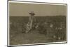 5 Year Old Willie Hesse Picks 15 Pounds of Cotton a Day on His Parents' 80 Acre Farm Near West-Lewis Wickes Hine-Mounted Photographic Print