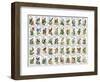 50 Birds-null-Framed Giclee Print