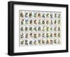 50 Birds-null-Framed Giclee Print