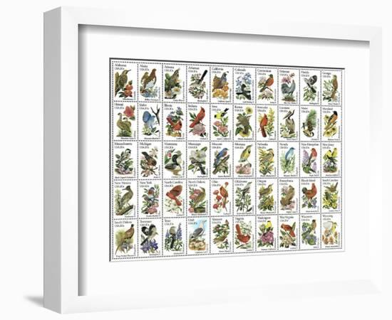 50 Birds-null-Framed Giclee Print