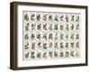 50 Birds-null-Framed Giclee Print