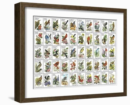 50 Birds-null-Framed Premium Giclee Print