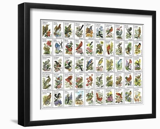 50 Birds-null-Framed Premium Giclee Print