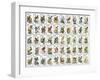 50 Birds-null-Framed Premium Giclee Print