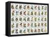 50 Birds-null-Framed Stretched Canvas