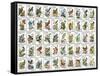 50 Birds-null-Framed Stretched Canvas
