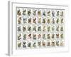 50 Birds-null-Framed Giclee Print