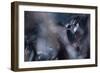 50 Hz-Fabien Bravin-Framed Giclee Print