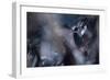 50 Hz-Fabien Bravin-Framed Giclee Print