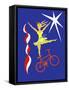 51CO-Pierre Henri Matisse-Framed Stretched Canvas