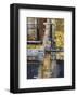 532-Lisa Fertig-Framed Art Print